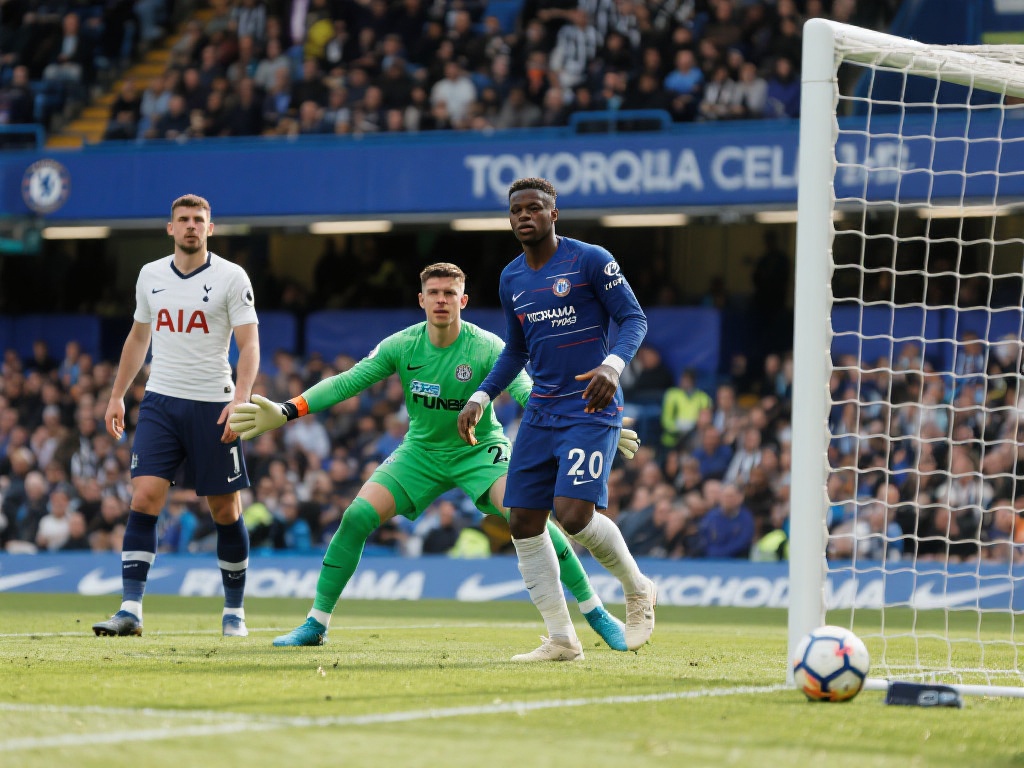 每局游戏仅 每局游戏仅