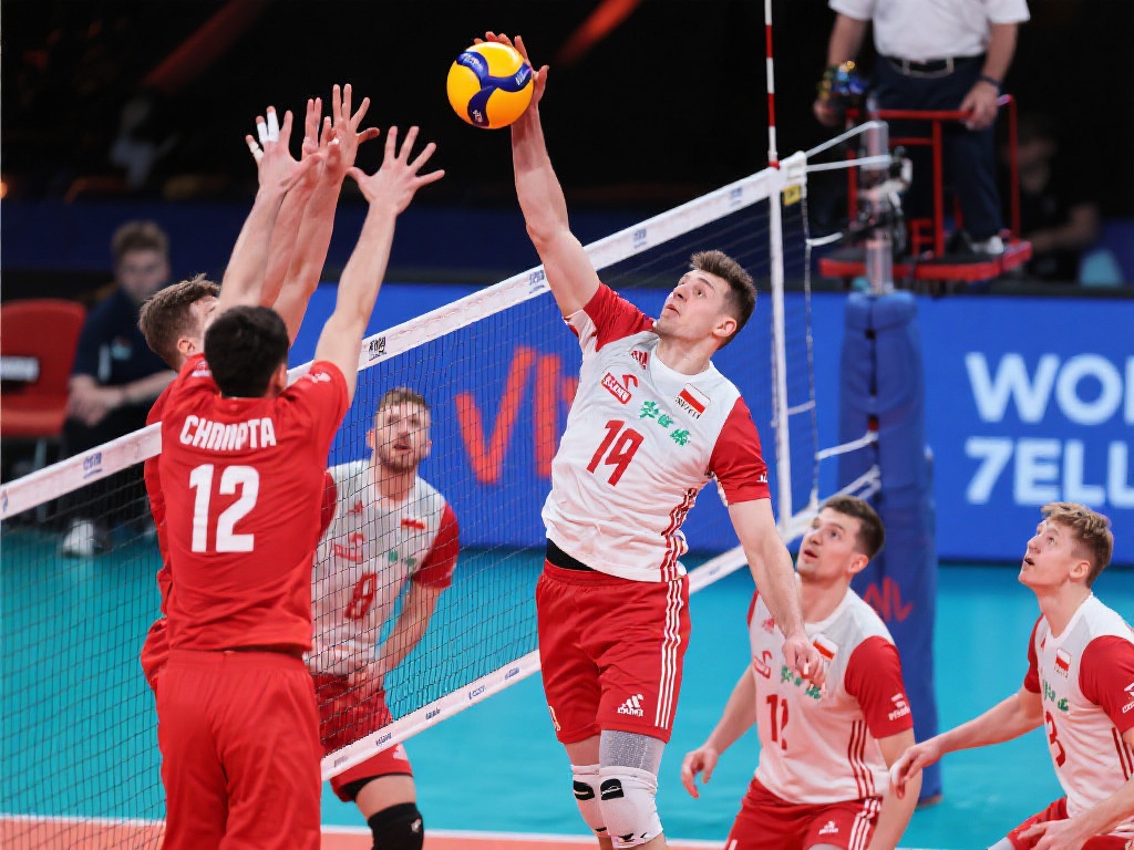 页面展示交 页面展示交